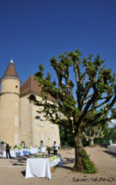 Cour du château de Saint Sorlin en Bugey