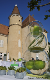 Cour du château de Saint Sorlin en Bugey